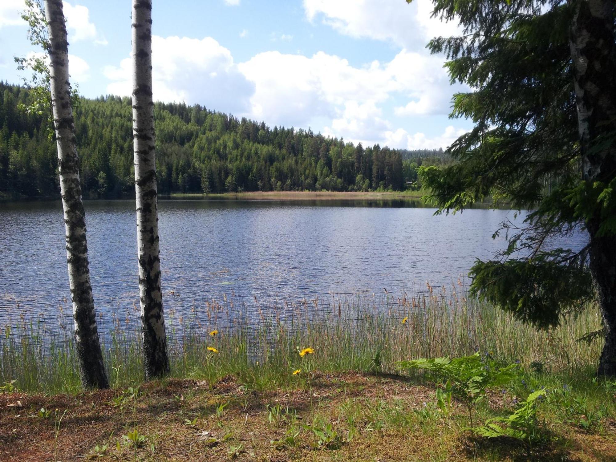 Kilsborgs Gård - Lake House Svanskog Eksteriør bilde