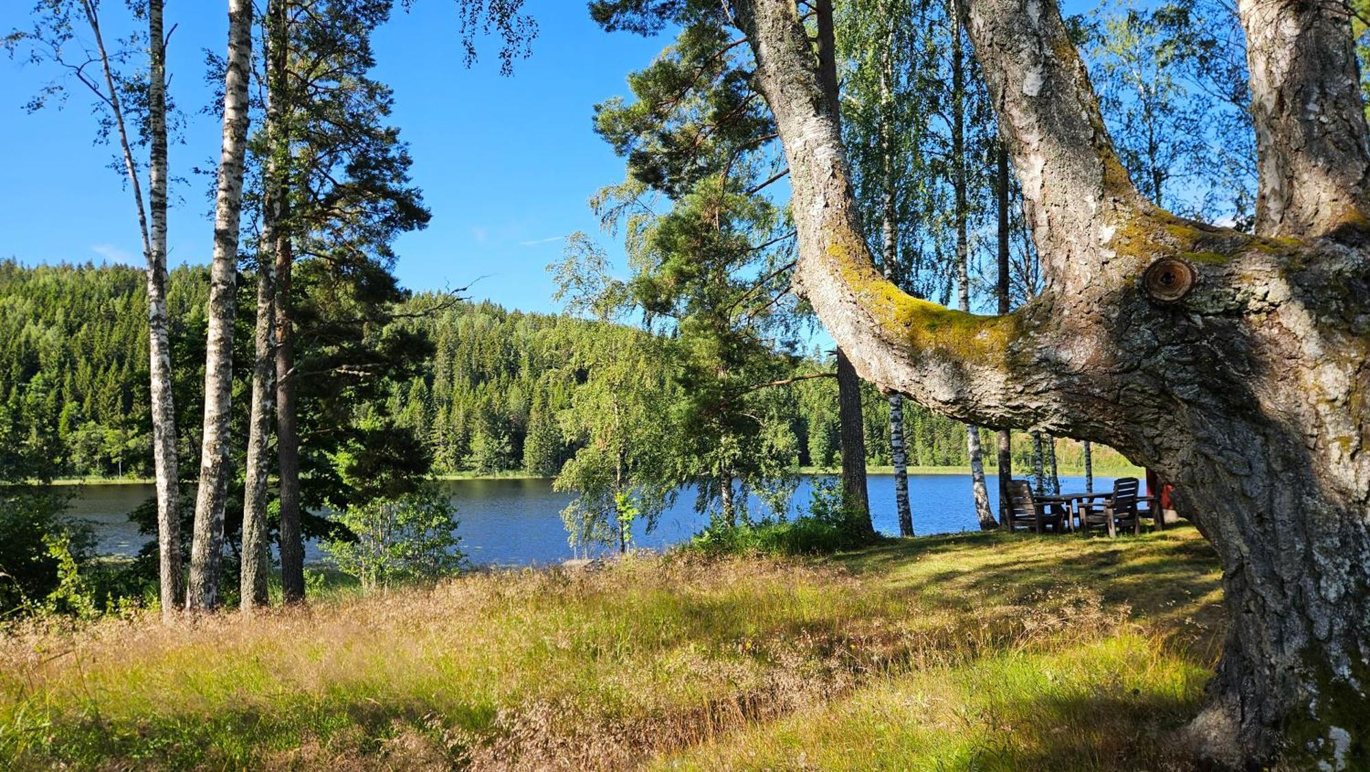 Kilsborgs Gård - Lake House Svanskog Eksteriør bilde